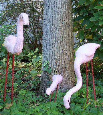 my-three-flamingos